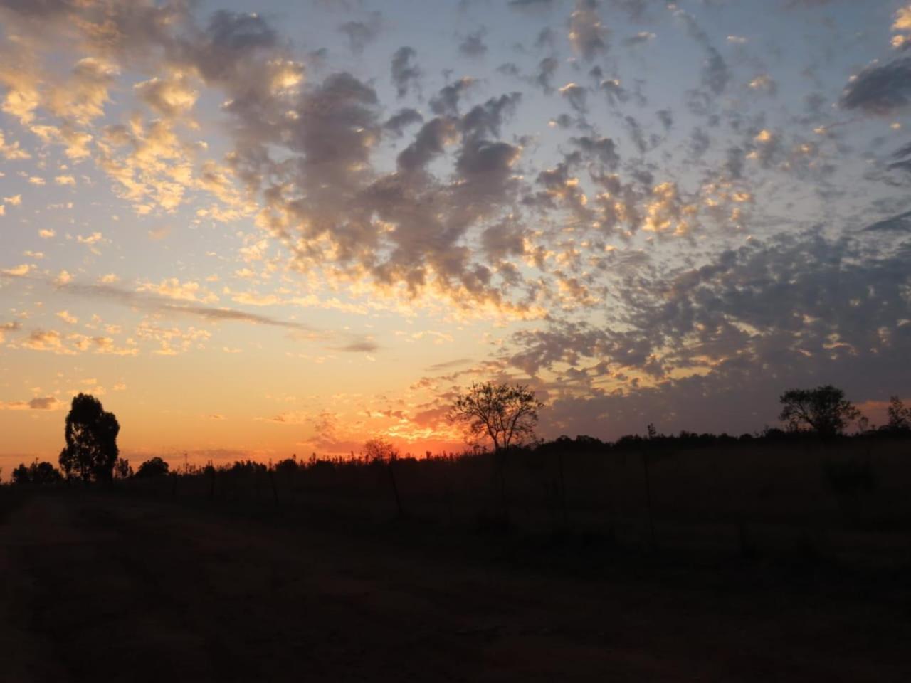 Hotel Sanctuary Life Guest Farm Magaliesburg Exterior foto