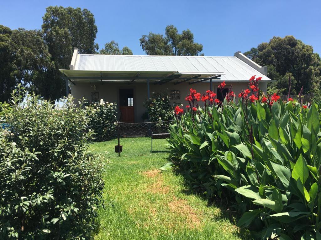 Hotel Sanctuary Life Guest Farm Magaliesburg Exterior foto