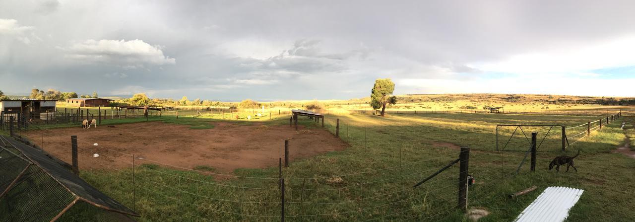 Hotel Sanctuary Life Guest Farm Magaliesburg Exterior foto