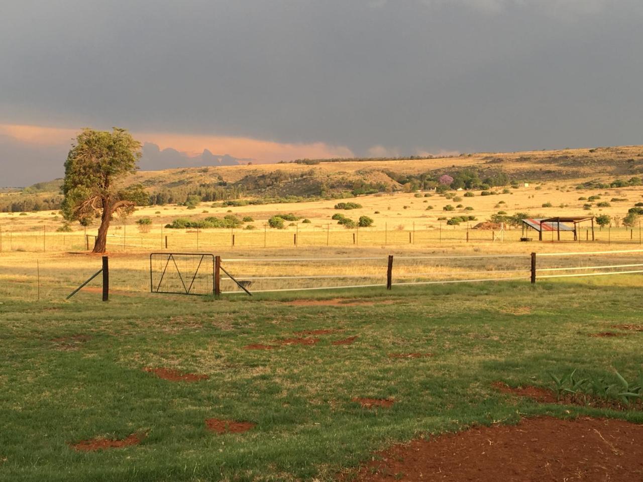 Hotel Sanctuary Life Guest Farm Magaliesburg Exterior foto